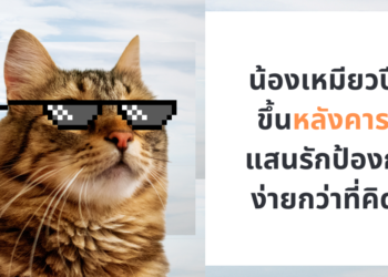 5 วิธีป้องกันไม่ให้น้องเหมียว ปีนป่าย รถยนต์ของเรา